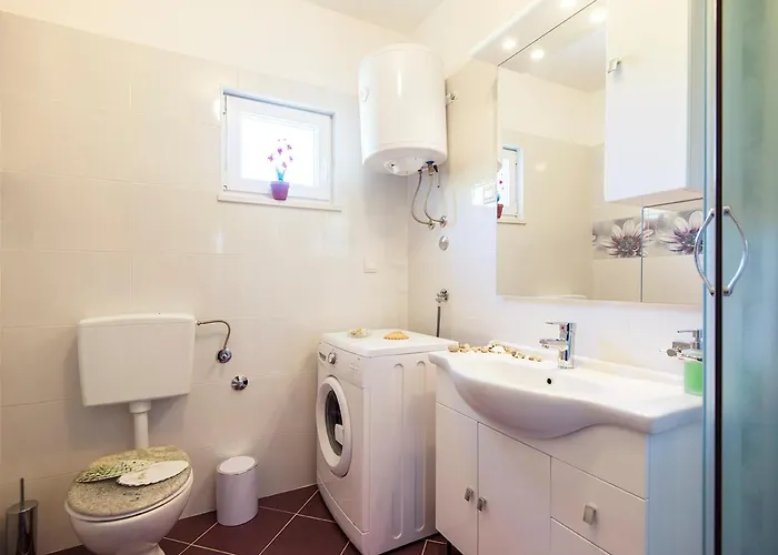 Cape Deluxe 르티나