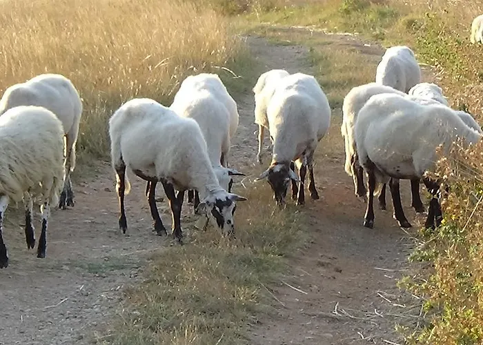 아파트 Cape Deluxe 르티나